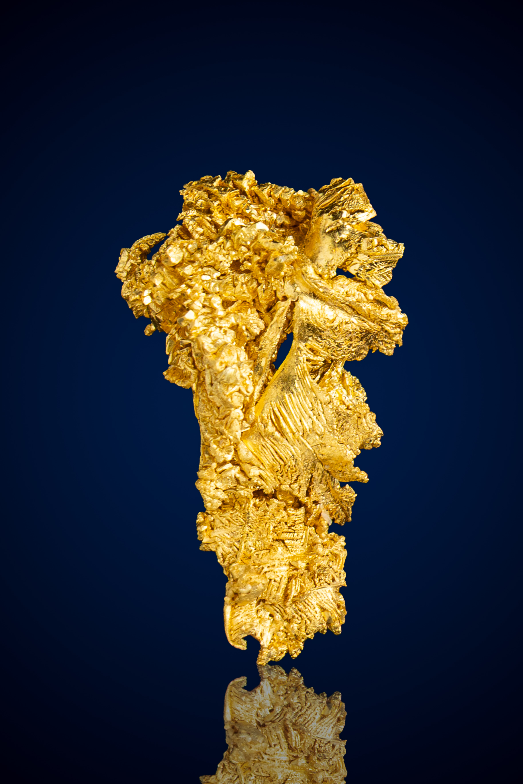 (image for) Gleaming, Dramatic Crystallized Gold Nugget - Round Mountain, NV - 2.0 grams